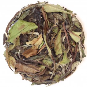 Paï Mu Tan : thé blanc de Chine Paï Mu Tan : thé blanc de Chine