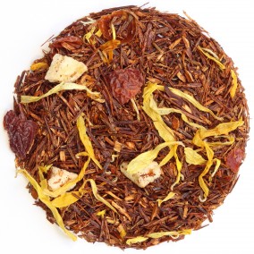 Rooibos Prétoria