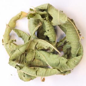 Verveine Verveine