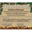 YIRGACHEFFE Gedeo Arabica d'Ethiopie