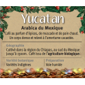 YUCATAN Arabica du Mexique