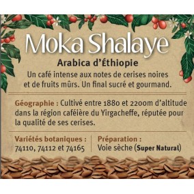 MOKA SHALAYE Arabica d'Ethiopie
